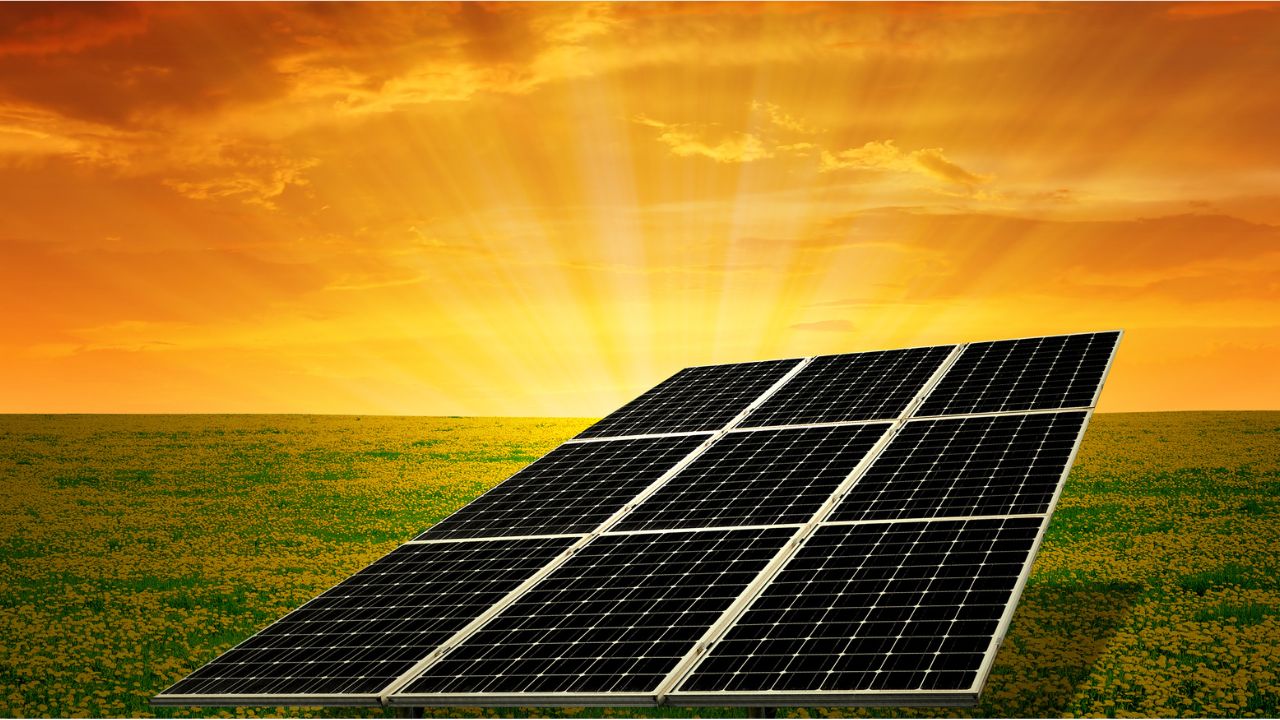 Learn about the Red Energy Solar Feed-in Tariff, including current rates, eligibility, and tips to maximise your solar savings. Discover if it’s right for your home.
