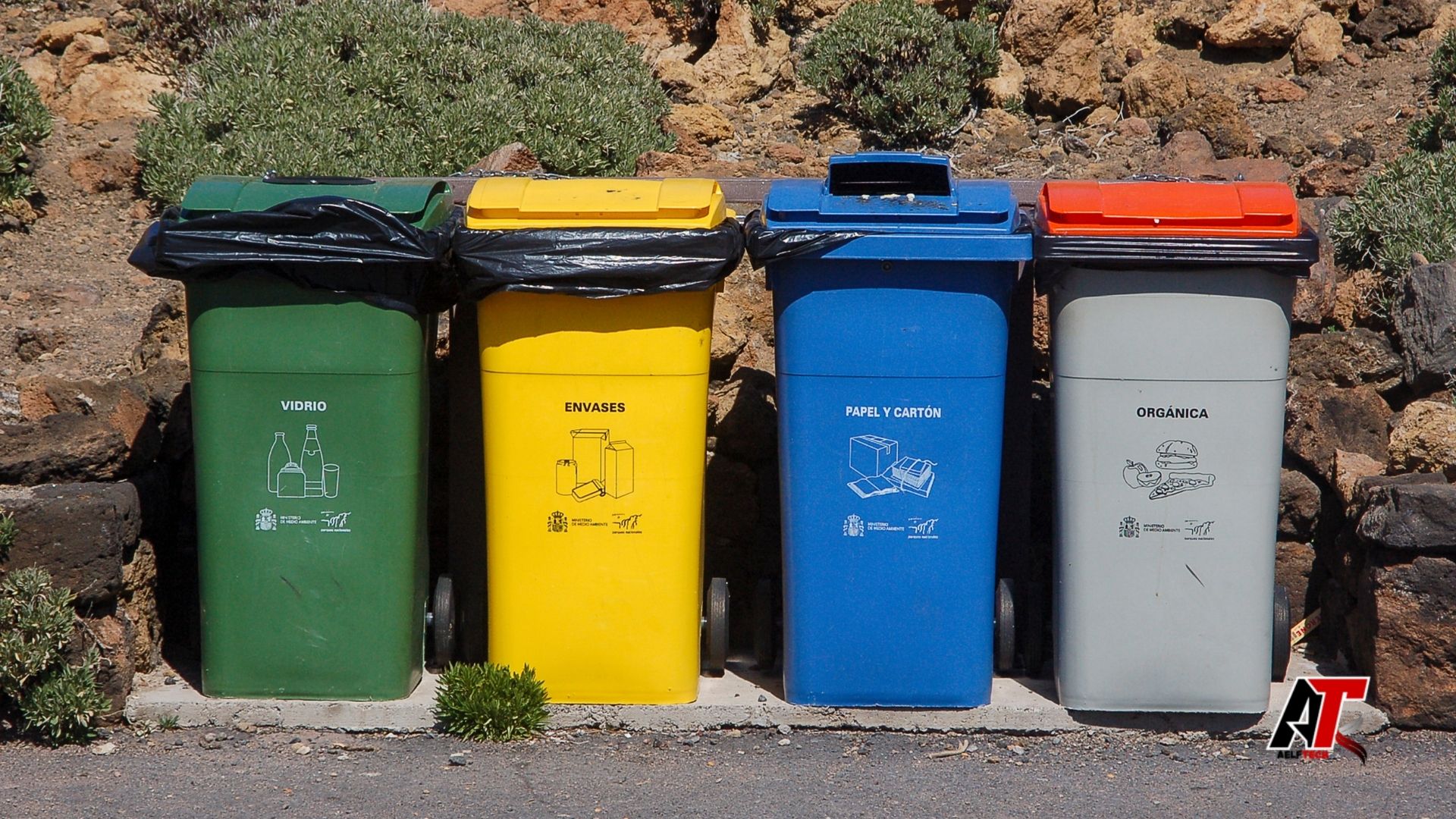 Waste consulting services